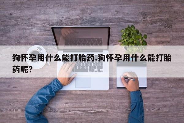 堕胎药咨询购买狗怀孕用什么能打胎药.狗怀孕用什么能打胎药呢？