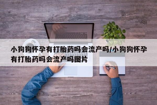 堕胎药咨询购买小狗狗怀孕有打胎药吗会流产吗/小狗狗怀孕有打胎药吗会流产吗图片